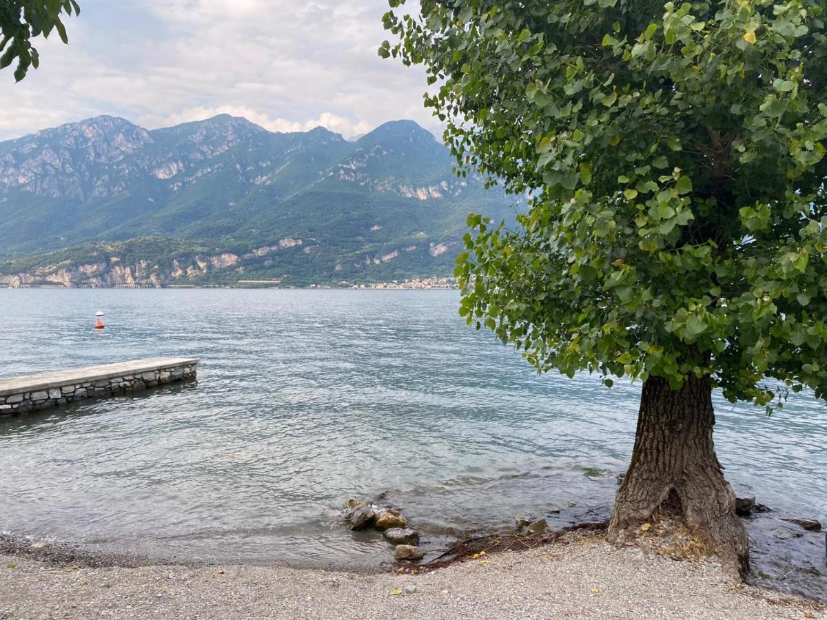 Al Cottage Oliveto Lario Bagian luar foto