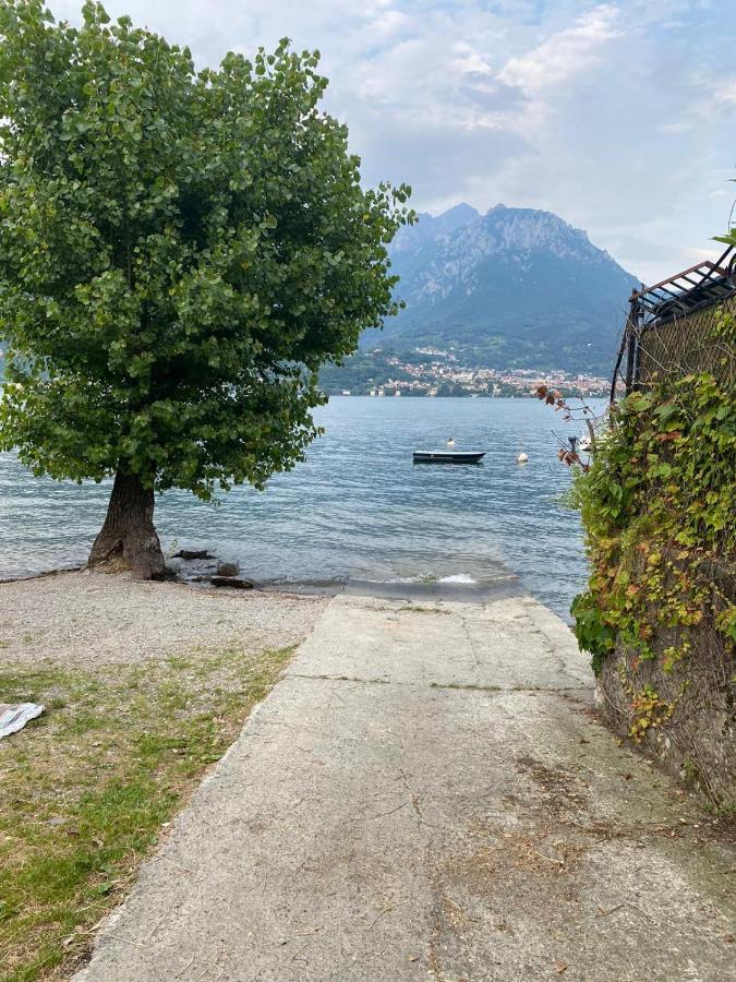 Al Cottage Oliveto Lario Bagian luar foto